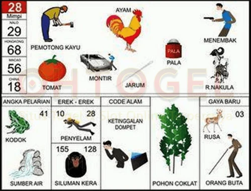 buku mimpi erek erek togel 28